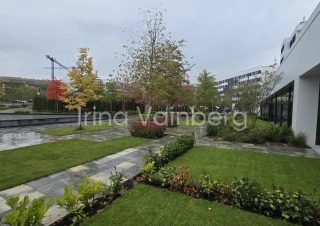 Apartamente în Hora Village!