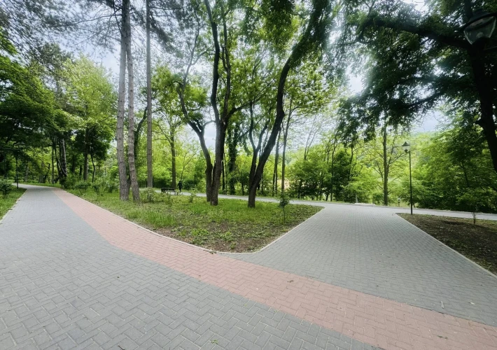 str. Braniştii, sec. Râșcani, 1 cameră 22 mp. De mijloc! Parc Boris Glavan!!! Demisol!!!6