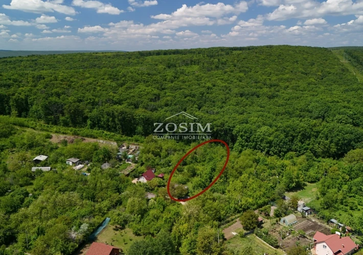 15 Ari / Marginea Padurii / Buiucani1