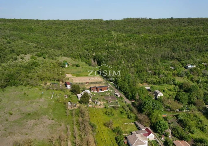 Vila de lemn langa Padure4