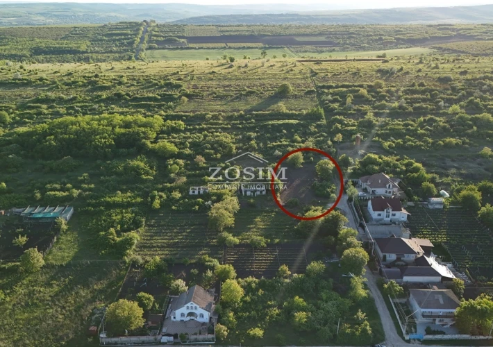 10 Ari / Cu Priveliste / Peresecina3