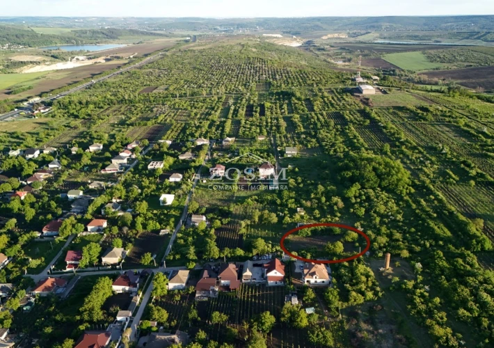 10 Ari / Cu Priveliste / Peresecina2