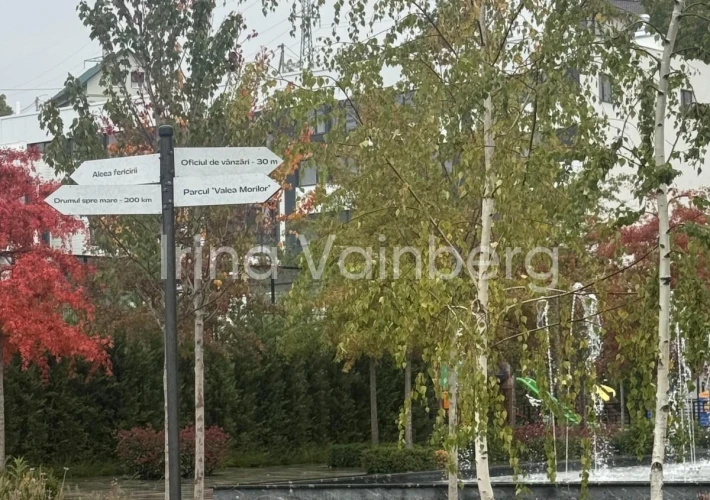 Apartamente în Hora Village!3
