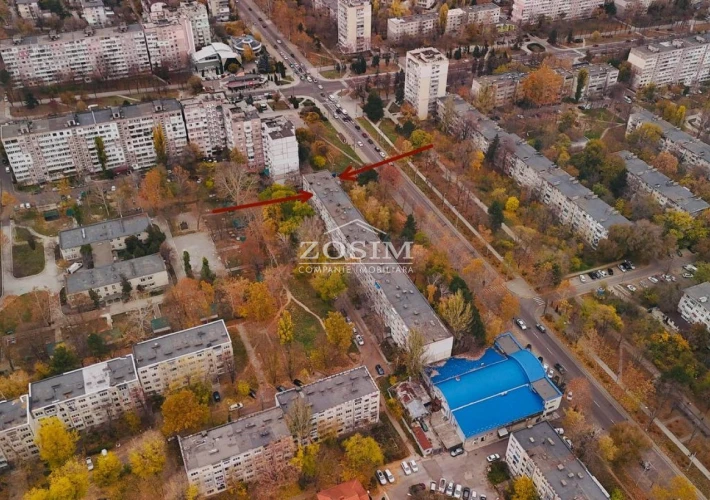 3 camere | Varianta Alba | Botanica2