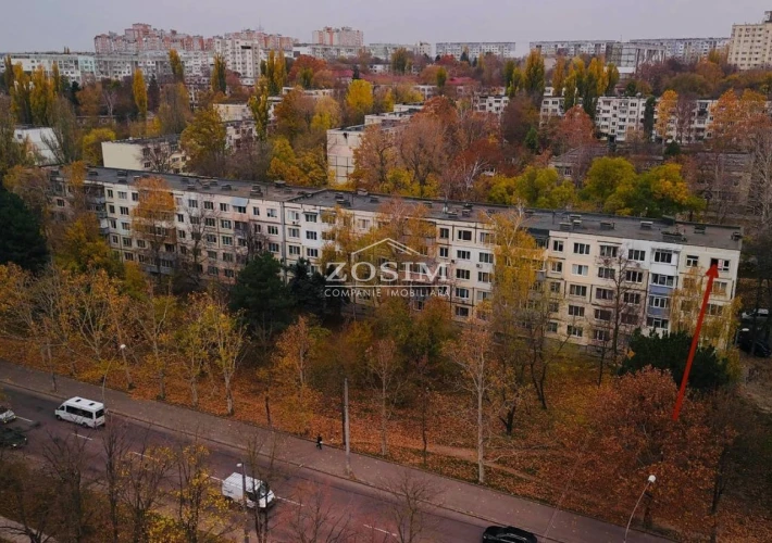 3 camere | Varianta Alba | Botanica1