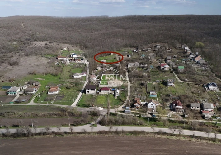 7 Ari | Langa Padure3