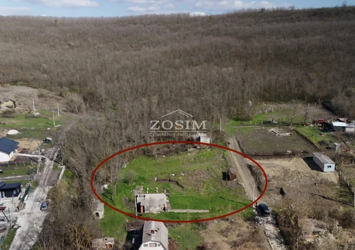 7 Ari | Langa Padure1