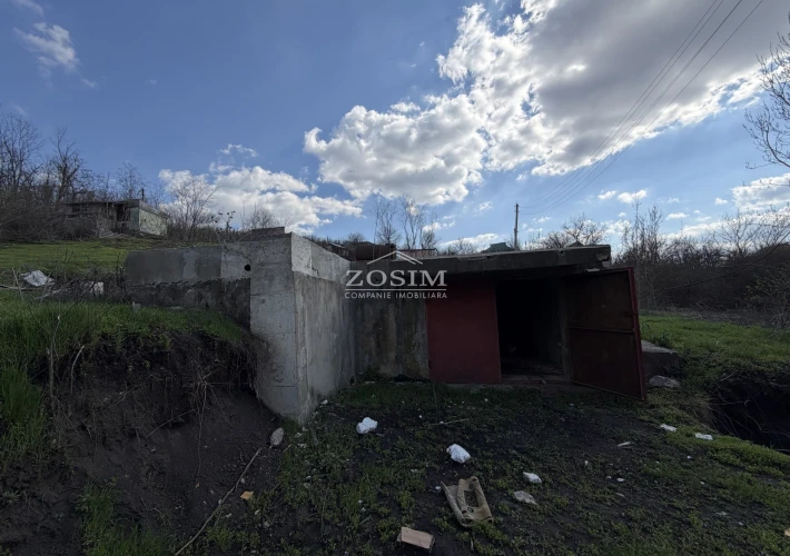 7 Ari | Langa Padure4