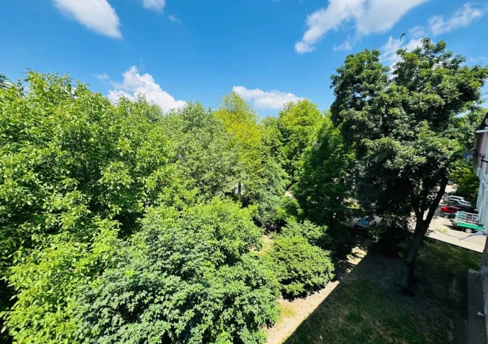 Parcul Boris Glavan! Sector Râșcani, str. Braniștii. 1 cameră. Reparat și mobilat. Încălzire autonomă!!!14