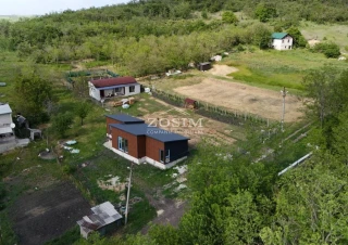 Vila de lemn langa Padure10