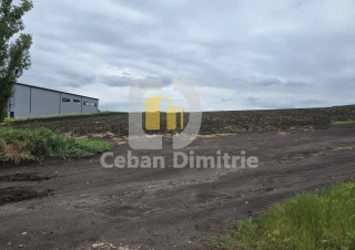 Vânzare teren, 383 ari, str. Uzinelor4
