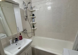 Chirie Indelungat!!! Parc Mezon! Sec. Riscani , bd. Moscova. 3 camere. Euroreparatie!!!12