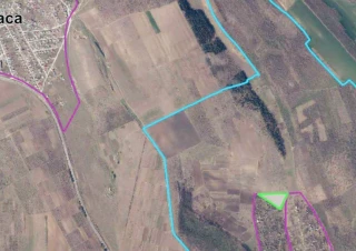 Teren lot pomicol (extravilan) cu o suprafață de 118,73 ar în Anenii Noi, sat. Hirbovet!!!2