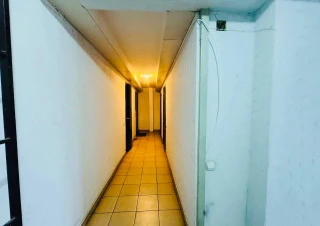 Sec. Riscani, str. Alecu Russo. Parc. 1 cameră + living de tip Mansarda. Euroreparatie!!!8