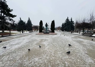 Serie MS! Prima Linie! Sec. Riscani, bd. Moscova. 1 camera. Parc Avgan! Reparat si Mobilat!!!2