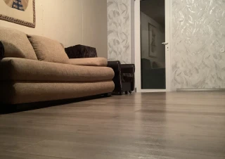 1 cameră + living, izolație fonică / termică, reparație proaspătă3