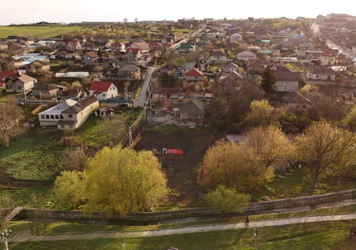 14 Ari / Colonita / Centru1