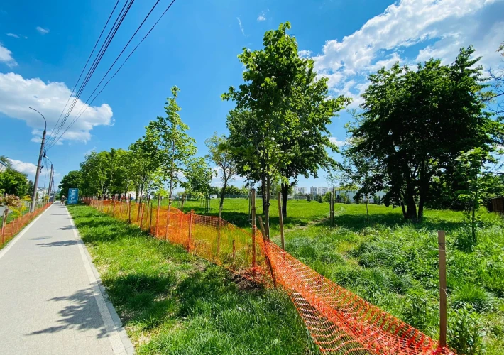 Parc UTM! Bloc Nou! Sec. Râșcani, str. Ac. S. Rădăuțanu, 2 camere + living! Euroreparație Full! Design Individual!!!8