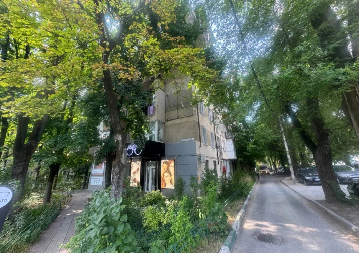 Sec. Riscani, str. Alecu Russo. Parc. 1 cameră + living de tip Mansarda. Euroreparatie!!!1