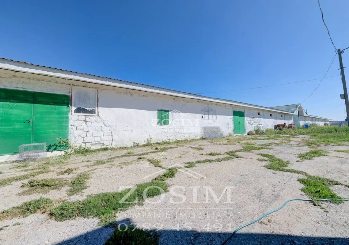 Hala de Producere - Conform Standardelor14