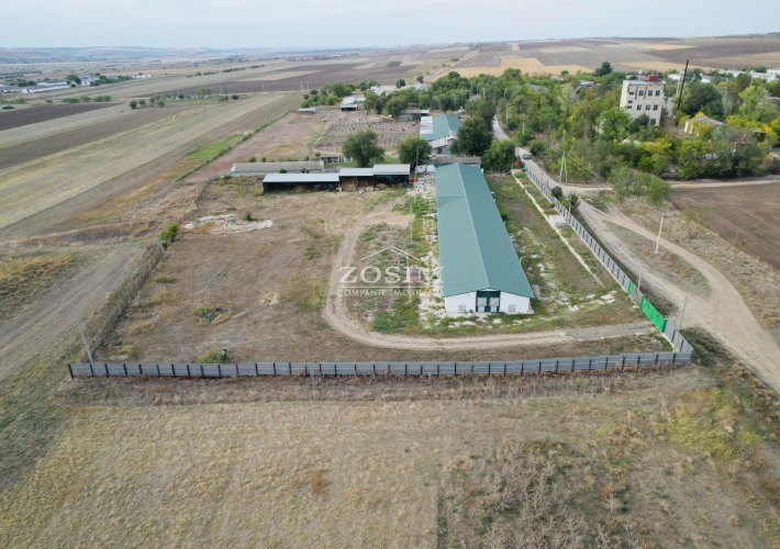 Hala de Producere - Conform Standardelor1