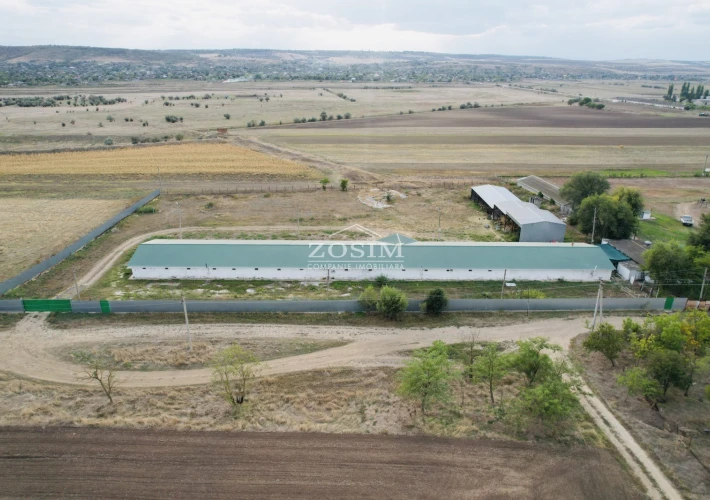 Hala de Producere - Conform Standardelor3