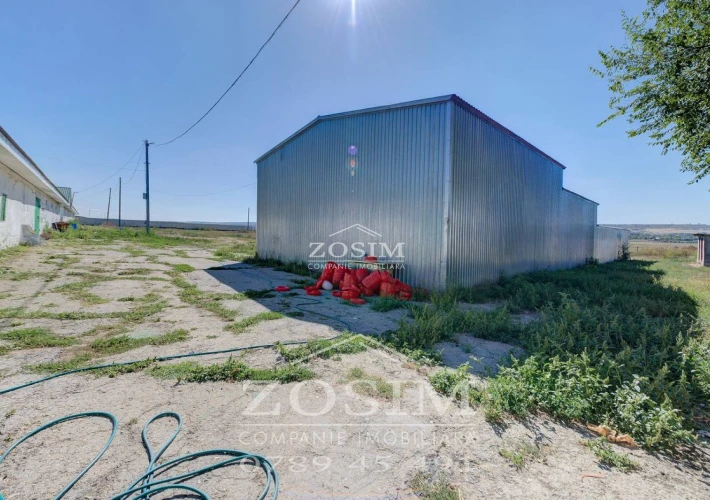 Hala de Producere - Conform Standardelor15