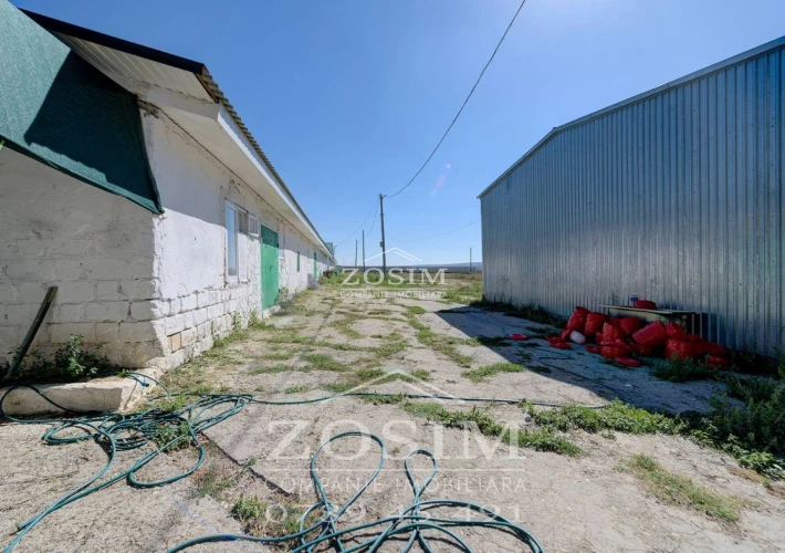 Hala de Producere - Conform Standardelor13