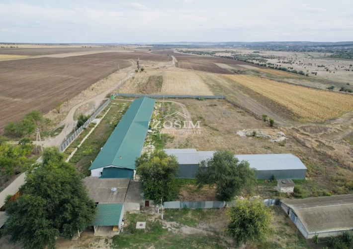 Hala de Producere - Conform Standardelor2