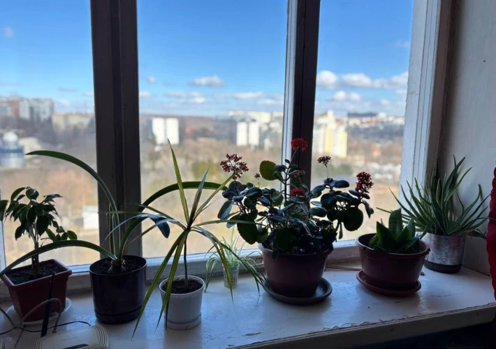 Seria 143! Sector Riscani, bd. Moscova. 2 camere. Parc UTM! Reparație Medie!!!10