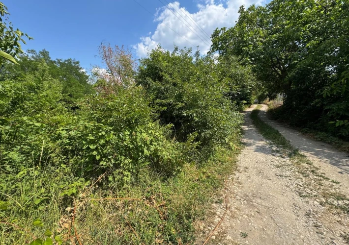 Teren pomicol cu o suprafață totală de 6 ari amplasat in Mun. Chisinau, com. Truseni. Modul de folosință Agricol.4