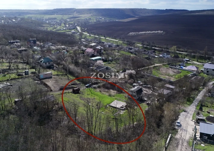 7 Ari | Langa Padure6