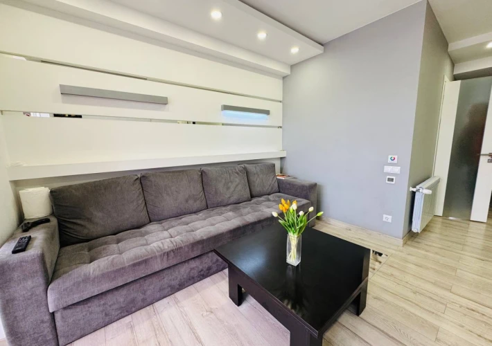 Lagmar Impex! Str. Bogdan Voivod, cartierul Rîșcani, 2 camere + living! Renovare euro! Design individual!10