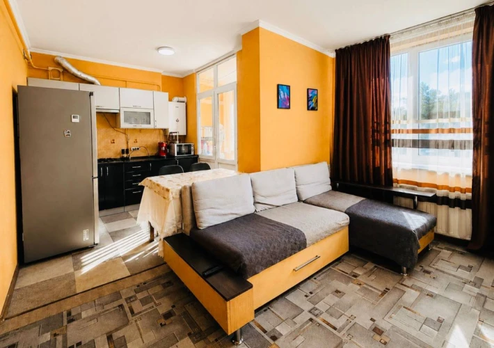 Parcul Boris Glavan! Sector Râșcani, str. Nicolae Dimo. 2 camere + living. Reparat și mobilat. Încălzire autonomă!!!6
