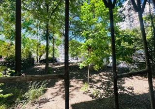 Parc Mezon! Serie Ceha! Sec. Riscani, str. Matei Basarab. 2 camere. Bilaterala! Reparatie Cosmetica!!!10