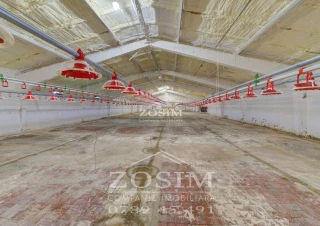 Hala de Producere - Conform Standardelor5