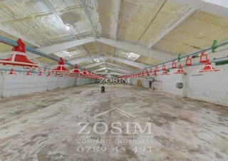 Hala de Producere - Conform Standardelor4