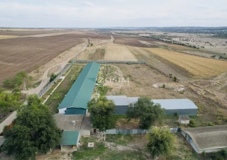 Hala de Producere - Conform Standardelor2