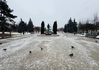 Parc Avgan. Sec. Riscani, str. Miron Costin. 3 camere! Euroreparatie!!!13