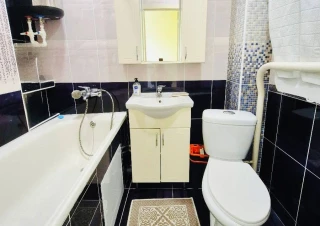 Serie MS! Prima linie! Sector Râșcani, bd. Moscova. 1 cameră. Parc Mezon! Reparat și Mobilat!!!12