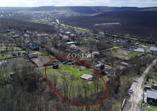 7 Ari | Langa Padure6